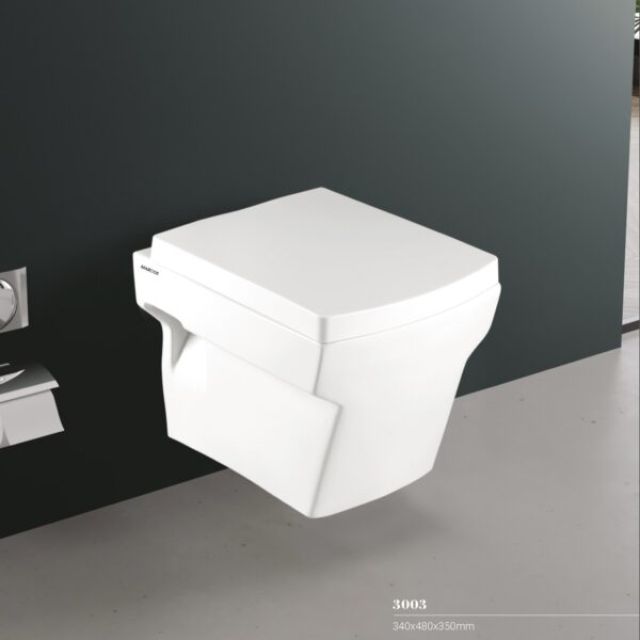 Wall Hung Closet 3003 White