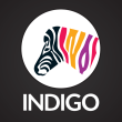 Indigo Paints